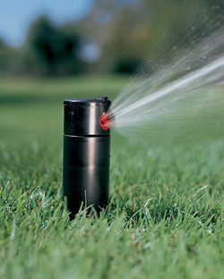 Underground Sprinkler System